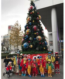 セサミツリー | その他