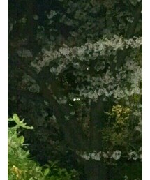 anti social social club | ナイロンジャケット