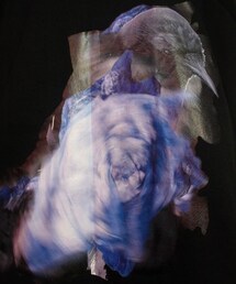 BALMUNG | カラス(Tシャツ/カットソー)