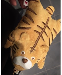 rough | パスケース