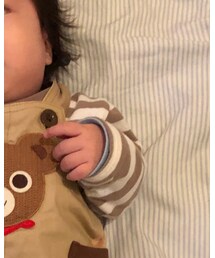 BeBe | Tシャツ/カットソー