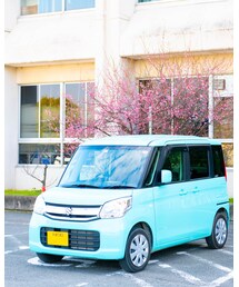 梅?可愛い車と共にw | その他