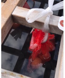 温泉卵🥚 | 雑貨/ホビー