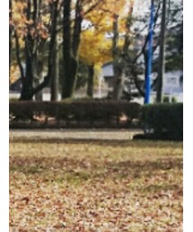 Re:EDIT | ブルゾン