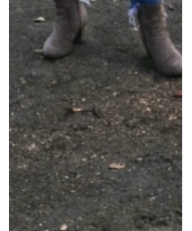 しまむら | ブーツ