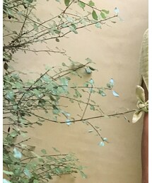FREE PEOPLE | ワンピース