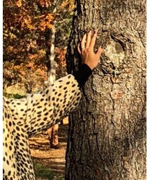 Dior | ニットキャップ/ビーニー