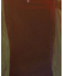 WEGO | Tシャツ/カットソー