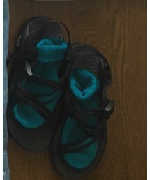 靴下屋 | ソックス/靴下