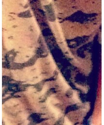 Supreme  | Tシャツ/カットソー