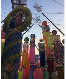 平塚七夕祭り🎋 | その他
