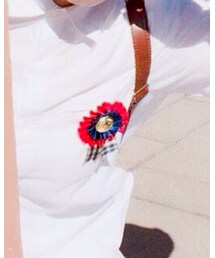 Disney | ブローチ/コサージュ