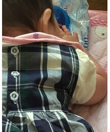 頂き物 | ワンピース