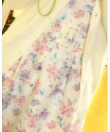 dazzlin | ワンピース