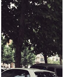 白山眼鏡店 | メガネ