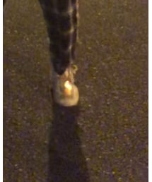 off white | スニーカー