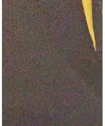 TOMMY HILFIGER | ポロシャツ