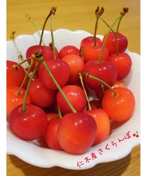 さくらんぼ🍒 | 仁木町産さくらんぼ☆保育園で購入🍒甘くて美味しい❤(食器/キッチン)