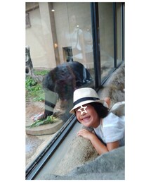 ヒマラヤグマ🐻 | 生トウキビをバリバリ食べるヒマラヤグマ🐻夜の動物園(その他)