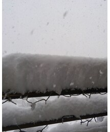 一晩で…⛄ | 一晩で30cm以上の積雪⛄そして日中も猛吹雪❄もう根雪確定です💧(その他)