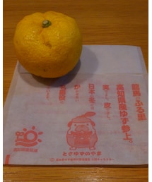 ゆず湯🍊 | 水着/着物・浴衣