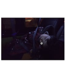 😪 | 娘、実家から帰る車中で爆睡😪スゴイ体勢で寝てました😁(その他)