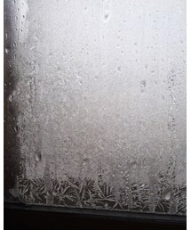 窓ガラス❄ | 結露がしばれて窓ガラスが凍結❄氷の結晶の出来上がり❄(その他)