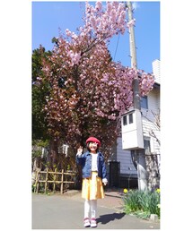 桜🌸 | 近所の一軒家にある毎年早咲きの八重桜🌸今年もお花見行きたいな(その他)