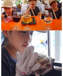ハリネズミ💕 | 初ハリネズミ♥可愛くて癒された〜💕やっぱ飼いたい😍/ワイン3杯🍷美味しかった(その他)