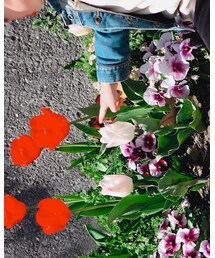 babyGAP | デニムジャケット