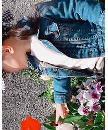 UNIQLO | スウェット