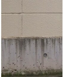 Yohji Yamamoto | その他パンツ