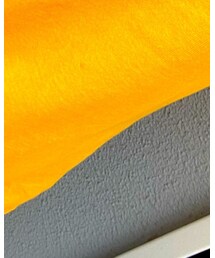 Champion | Tシャツ/カットソー