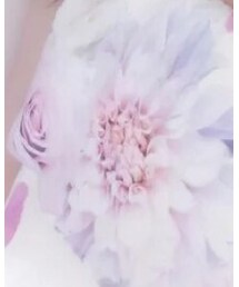 DaTuRA | ワンピース