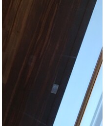 salire | スカート