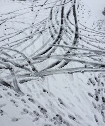 その他 | 雪(その他)