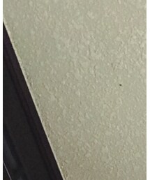 kooky stadio | ワンピース