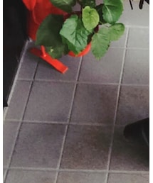 UNIQLO | スウェット