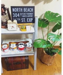 My room☆ | 家具