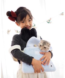 ねこ | ねこやアイパッドがギリギリ入ります(その他)