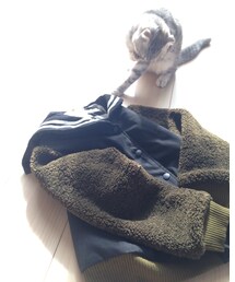 ねこ | 本日のねこ 新作チェックは忘れずに(その他)