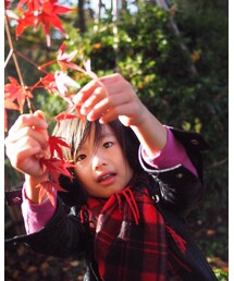 紅葉 | ほとんど落葉してたけど、一部はきれい(その他)