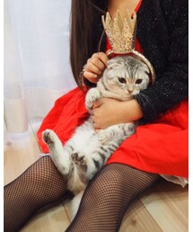 ねこ | これが お誕生日席 というやつです(その他)