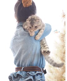 ねこ | あんよ が 揃ってたりするとか ツボ(その他)