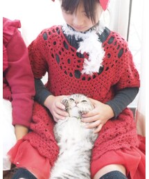 ねこ | モフモフは癒やし(その他)