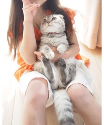 ねこ | その他
