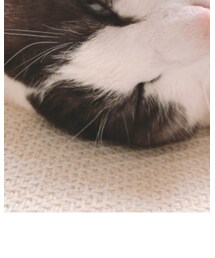 もらいました。 | その他