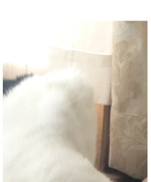 もらいました。 | その他