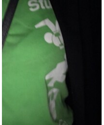 STUSSY | Tシャツ/カットソー
