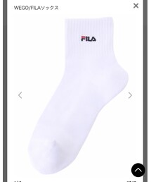 WEGO | ソックス/靴下
